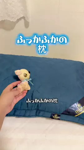 みやも人形のTikTok投稿