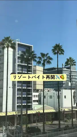 chiのTikTok投稿