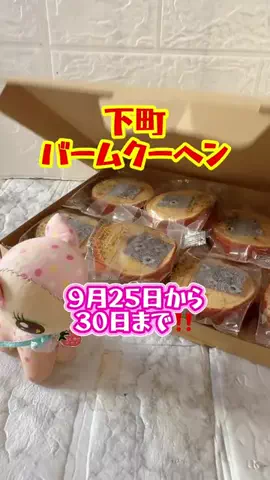 みやも人形のTikTok投稿