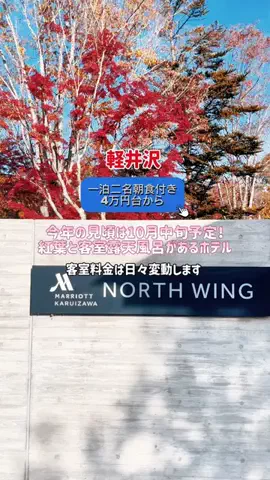 日々旅にしてホテル暮らしのTikTok投稿