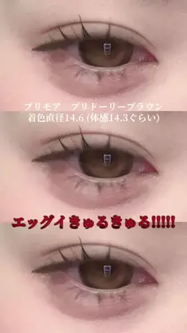 忘れ物のTikTok投稿