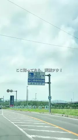 茨城グルメ／IBARAKI SELECTのTikTok投稿