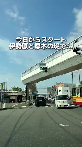 えびなびのTikTok投稿