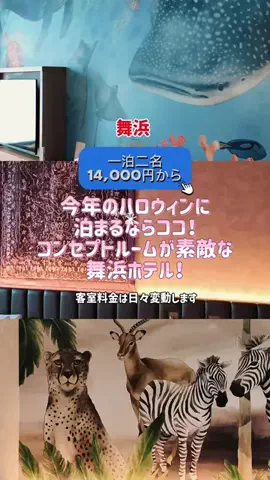日々旅にしてホテル暮らしのTikTok投稿