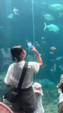 MiyuのTikTok投稿