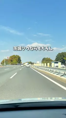 茨城グルメ／IBARAKI SELECTのTikTok投稿