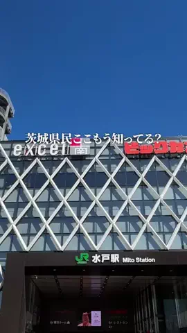 茨城グルメ／IBARAKI SELECTのTikTok投稿