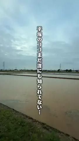 うめたび@神奈川から子連れ旅のTikTok投稿