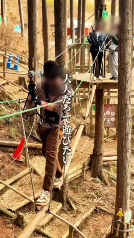 イネ🐧静岡おでかけ紹介のTikTok投稿