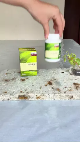 @beautyandmoreのTikTok投稿