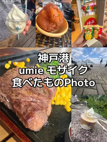出張や旅行で泊まって良かったホテル紹介🐶KALU🐶のTikTok投稿