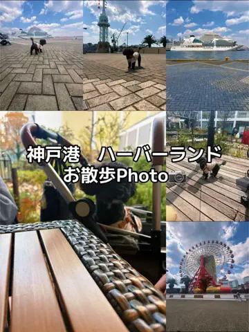出張や旅行で泊まって良かったホテル紹介🐶KALU🐶のTikTok投稿