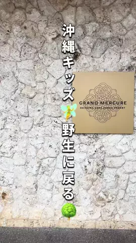 cyazukeのTikTok投稿