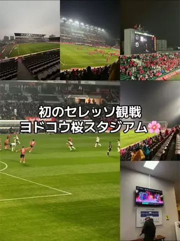 出張や旅行で泊まって良かったホテル紹介🐶KALU🐶のTikTok投稿
