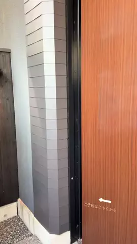 ルイハナちゃんのTikTok投稿