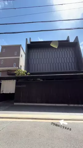 ルイハナちゃんのTikTok投稿