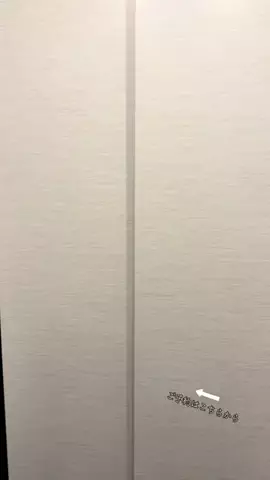ルイハナちゃんのTikTok投稿
