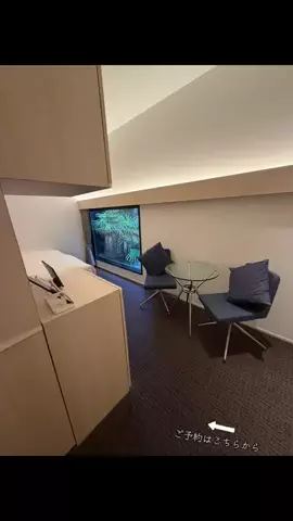 ルイハナちゃんのTikTok投稿