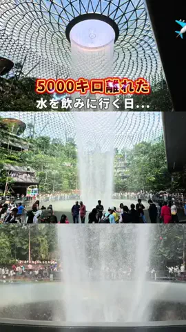 COCO | 暮らしを彩るアイデア🌿のTikTok投稿