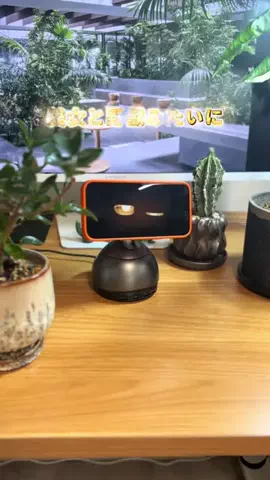 COCO | 暮らしを彩るアイデア🌿のTikTok投稿