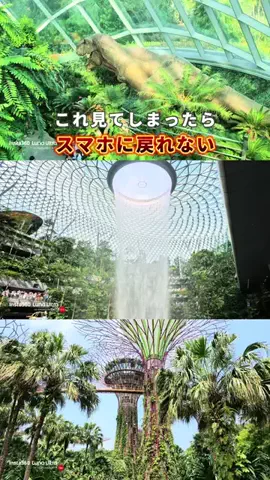 COCO | 暮らしを彩るアイデア🌿のTikTok投稿