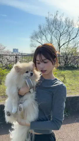 谷田ラナのTikTok投稿