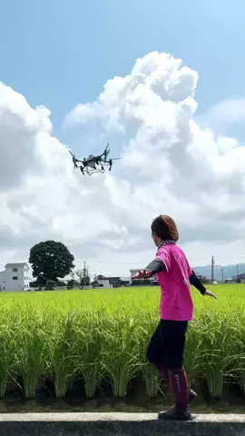 淡路島の農家のTikTok投稿