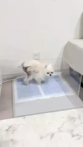 ハヌルのTikTok投稿