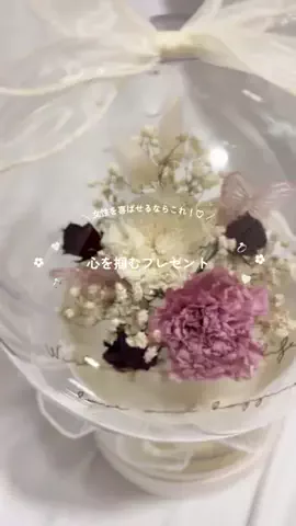 moa.⌇ママのリアルな日常✍🏻ˊ˗のTikTok投稿