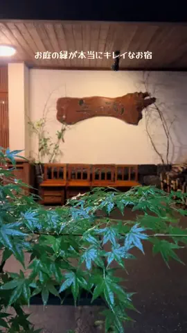 ゆる旅🌿のTikTok投稿