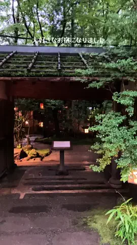 ゆる旅🌿のTikTok投稿