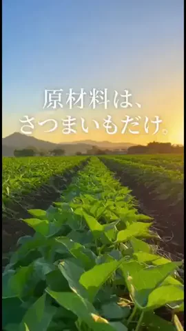 極楽ジョウドのTikTok投稿