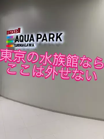極楽ジョウドのTikTok投稿