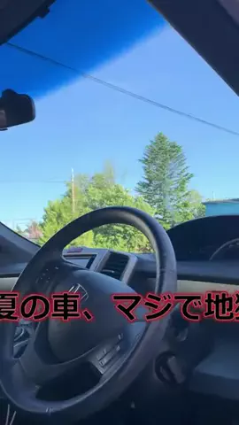 お〜ちゃんのTikTok投稿