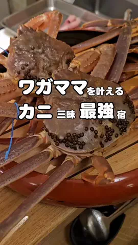 ハズさない厳選旅ガイドのTikTok投稿