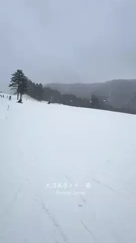 旅ニャンのTikTok投稿