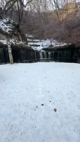 旅ニャンのTikTok投稿