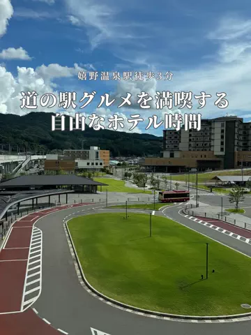 アルコールのひとのTikTok投稿