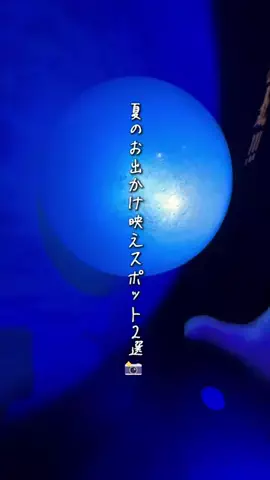 ベジタビ｜とくとく旅行ガイド💸のTikTok投稿