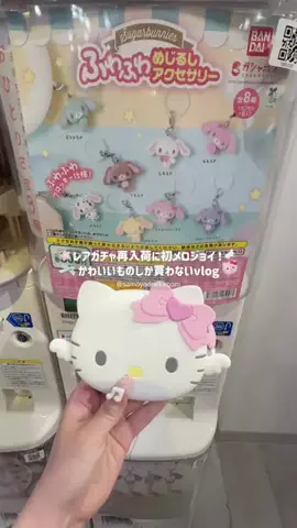 サモエドネキのお部屋のTikTok投稿
