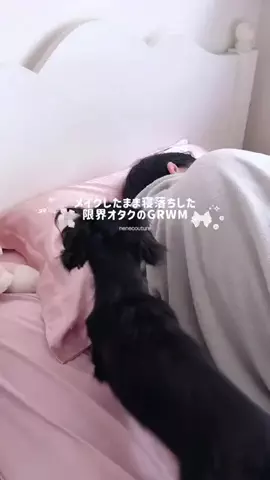 菜々子୨ৎのTikTok投稿