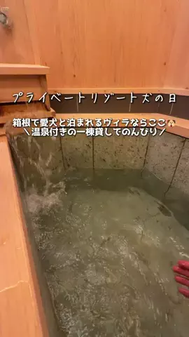 ベジタビ｜とくとく旅行ガイド💸のTikTok投稿