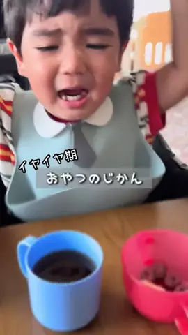 みなとっち🐥のTikTok投稿