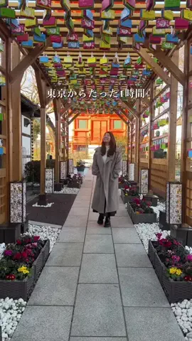 あず🧸食𓌉𓇋旅✈︎きろく𓂃 𓈒✍︎のTikTok投稿