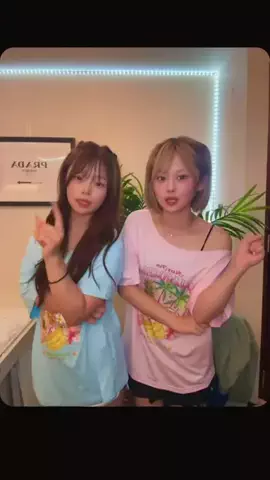ハニミニのTikTok投稿