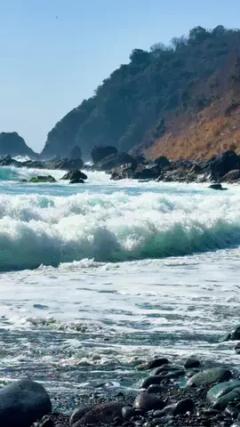 Tovanjan/豆板醤のTikTok投稿