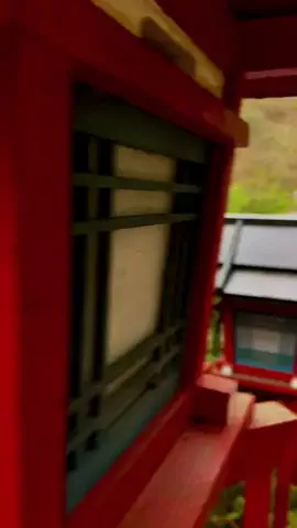 Tovanjan/豆板醤のTikTok投稿