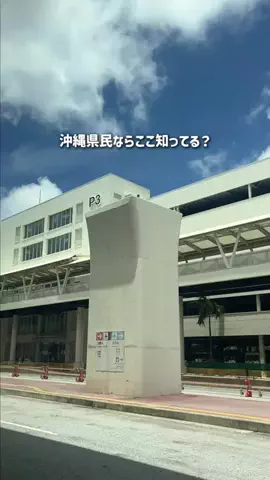 沖縄グルメ／OKINAWA SELECTのTikTok投稿