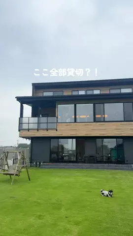 パパに恋するはるちゃんのTikTok投稿