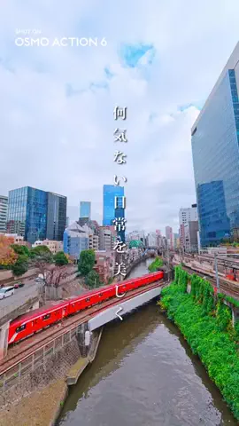 ShotaのTikTok投稿